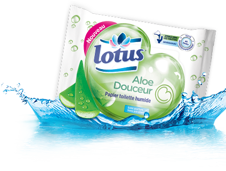 papier toilette humide lotus