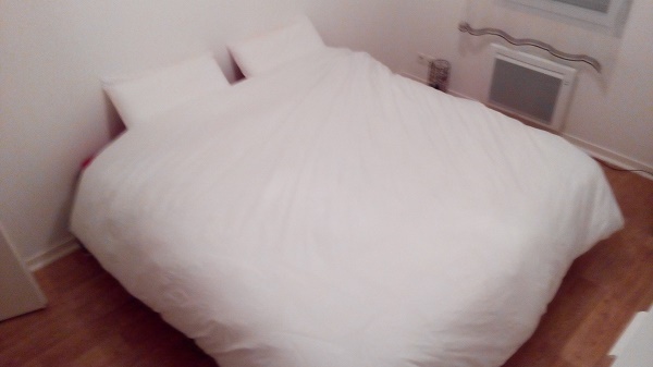 couette 4 saisons duvet d'oie eve