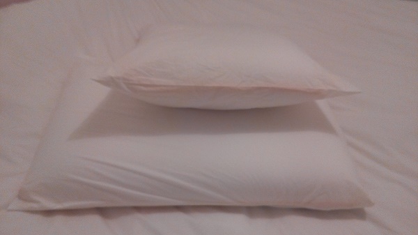 oreiller rectangulaire eve memoire de forme