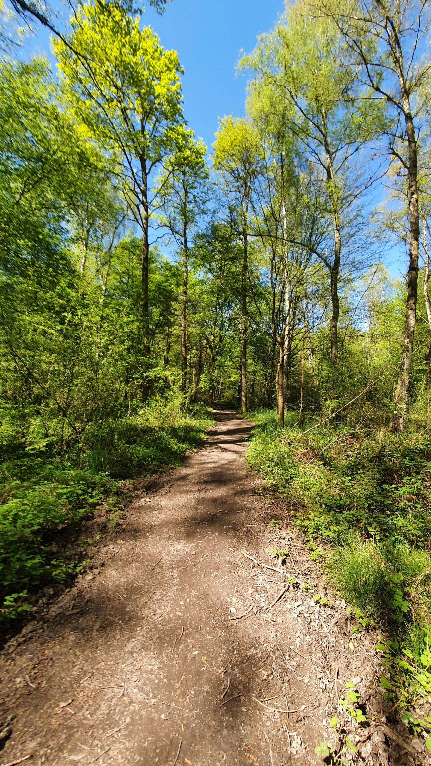 bois-center-parcs-village-nature-paris