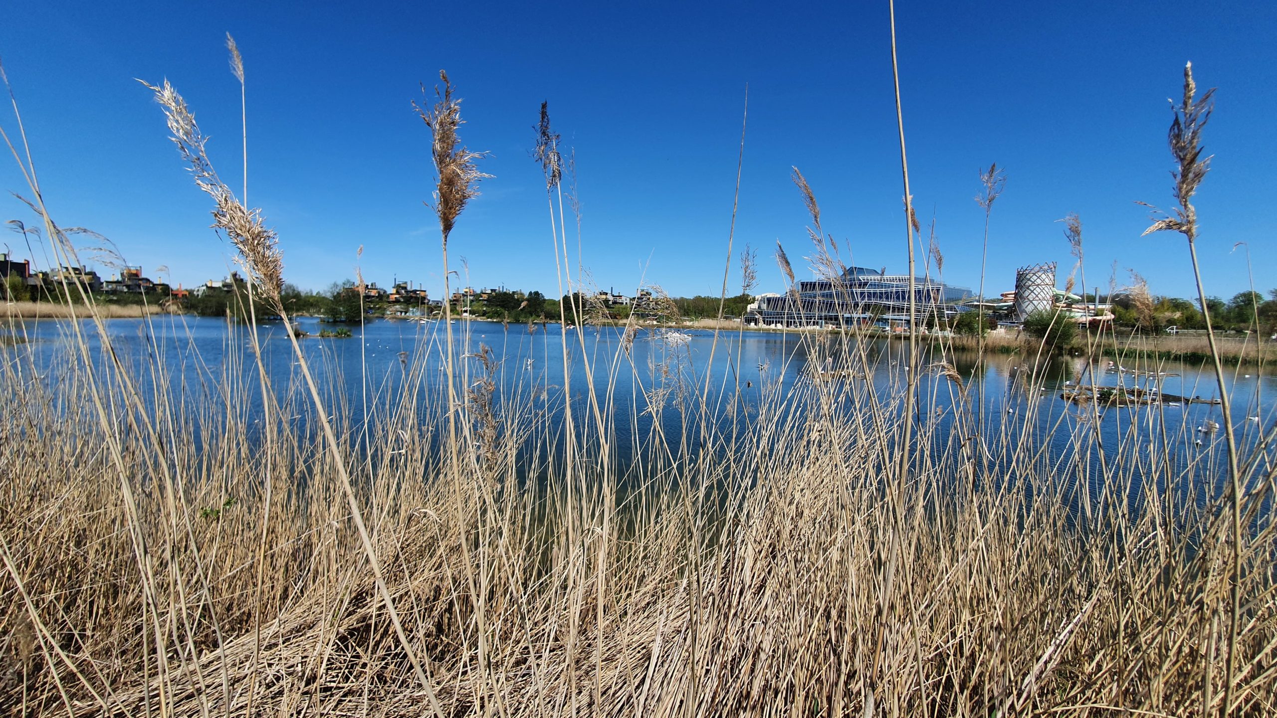 piscine center parcs village nature paris
