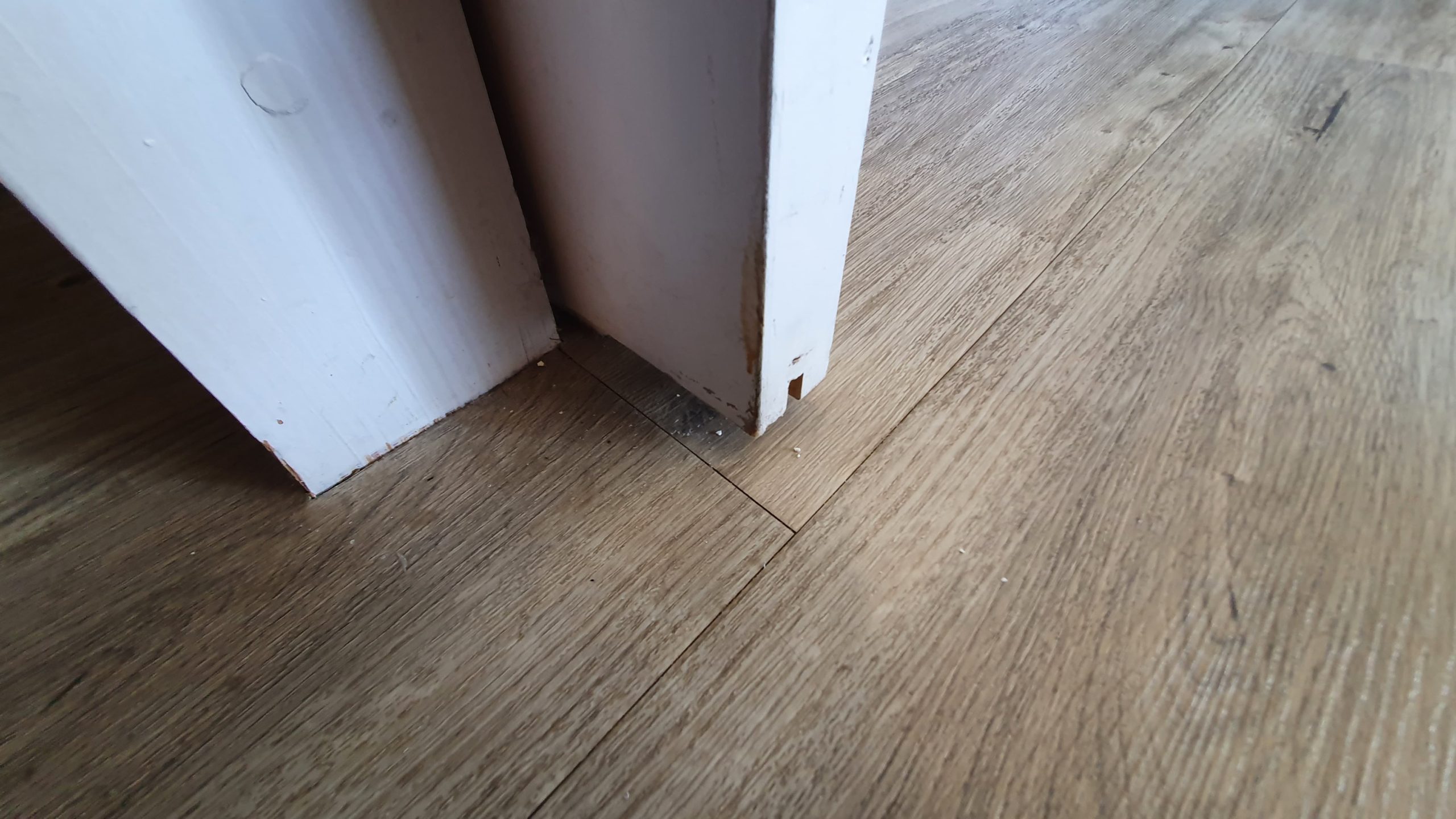 saleté center parcs village nature paris