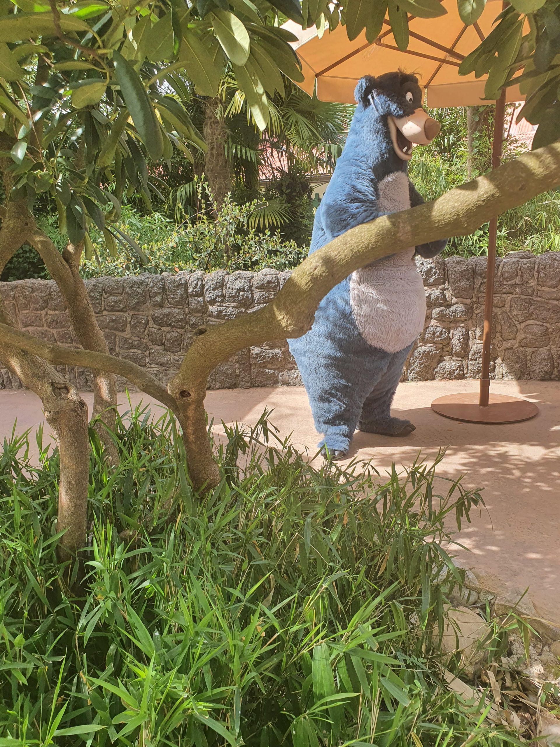 temps attente baloo disenyland paris