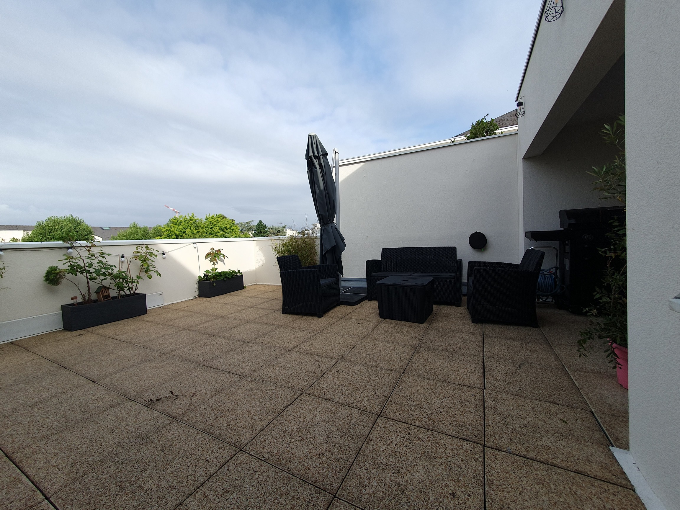 Avant le test "Silence, ça pousse !"