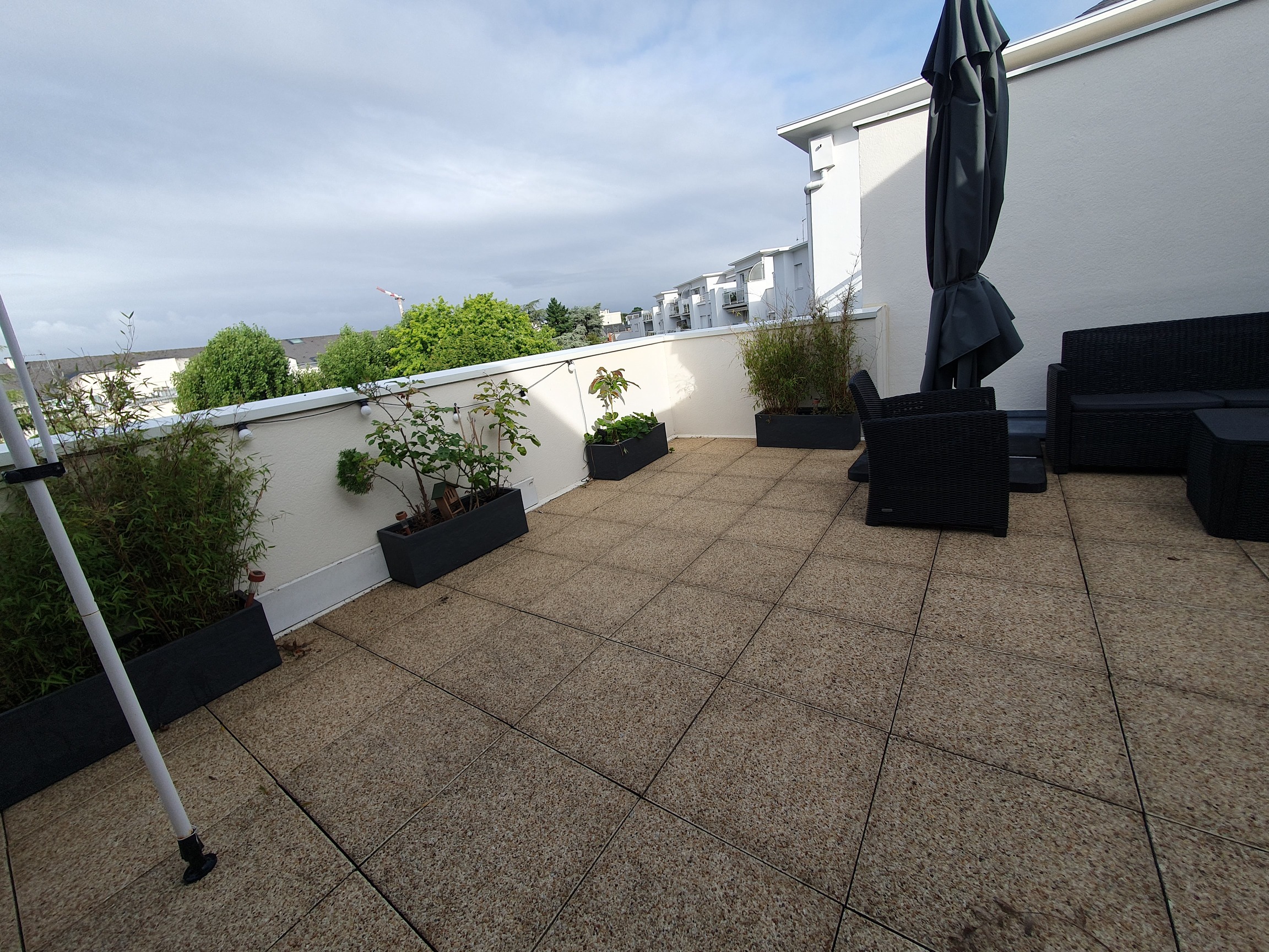 Avant le test "Silence, ça pousse !"