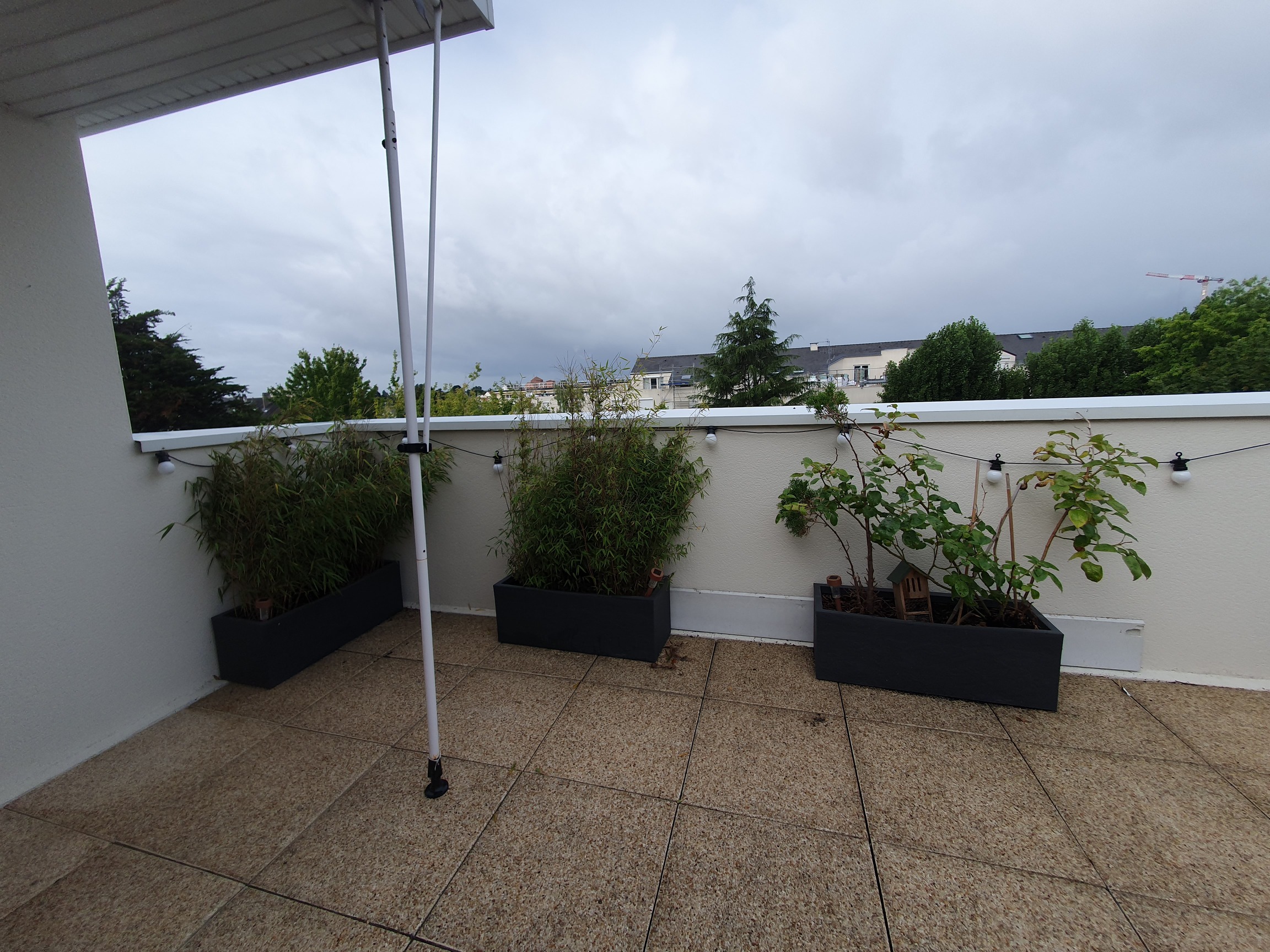 Avant le test "Silence, ça pousse !"