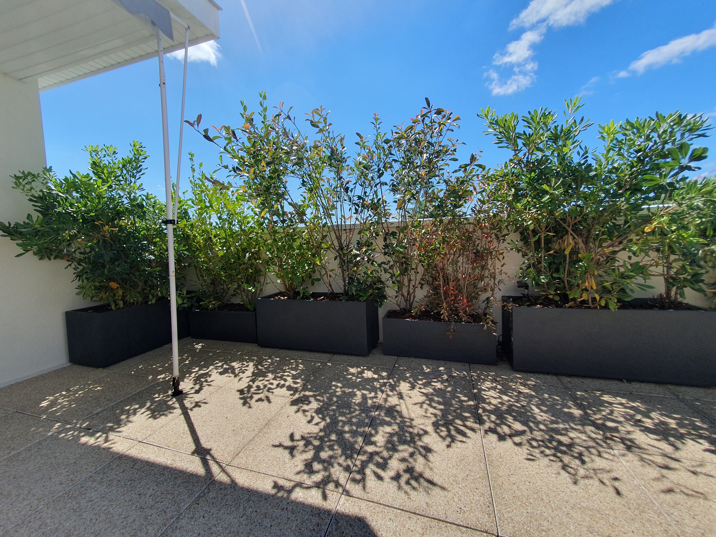 Après le test "Silence, ça pousse !"