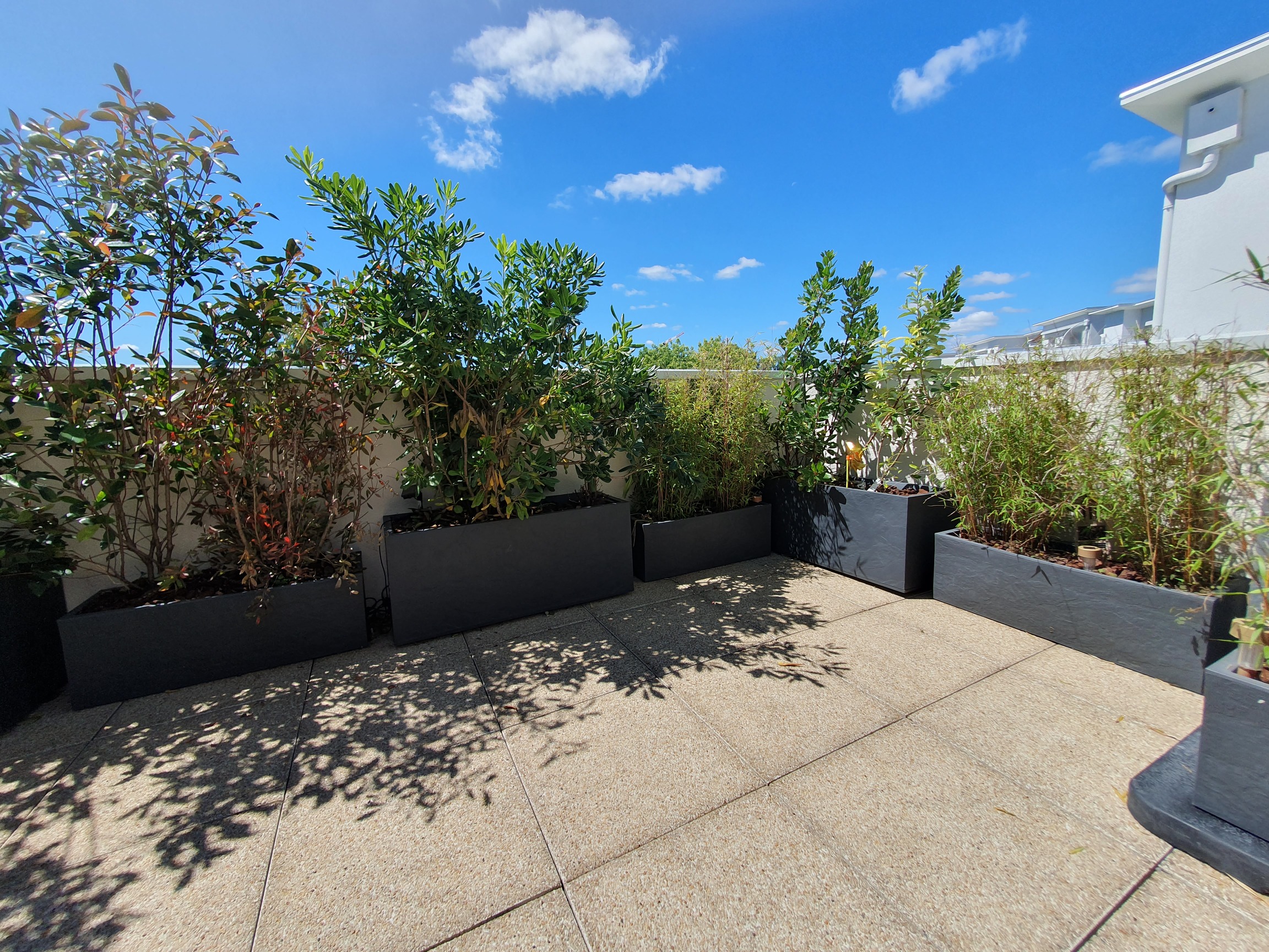 Après le test "Silence, ça pousse !"