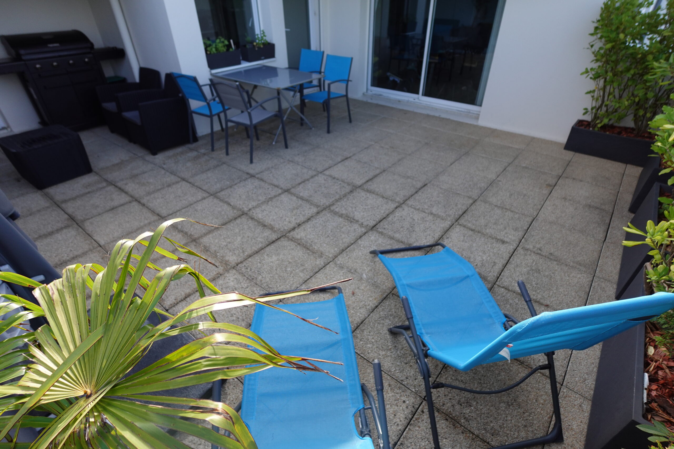 Test gazon synthétique Nortene