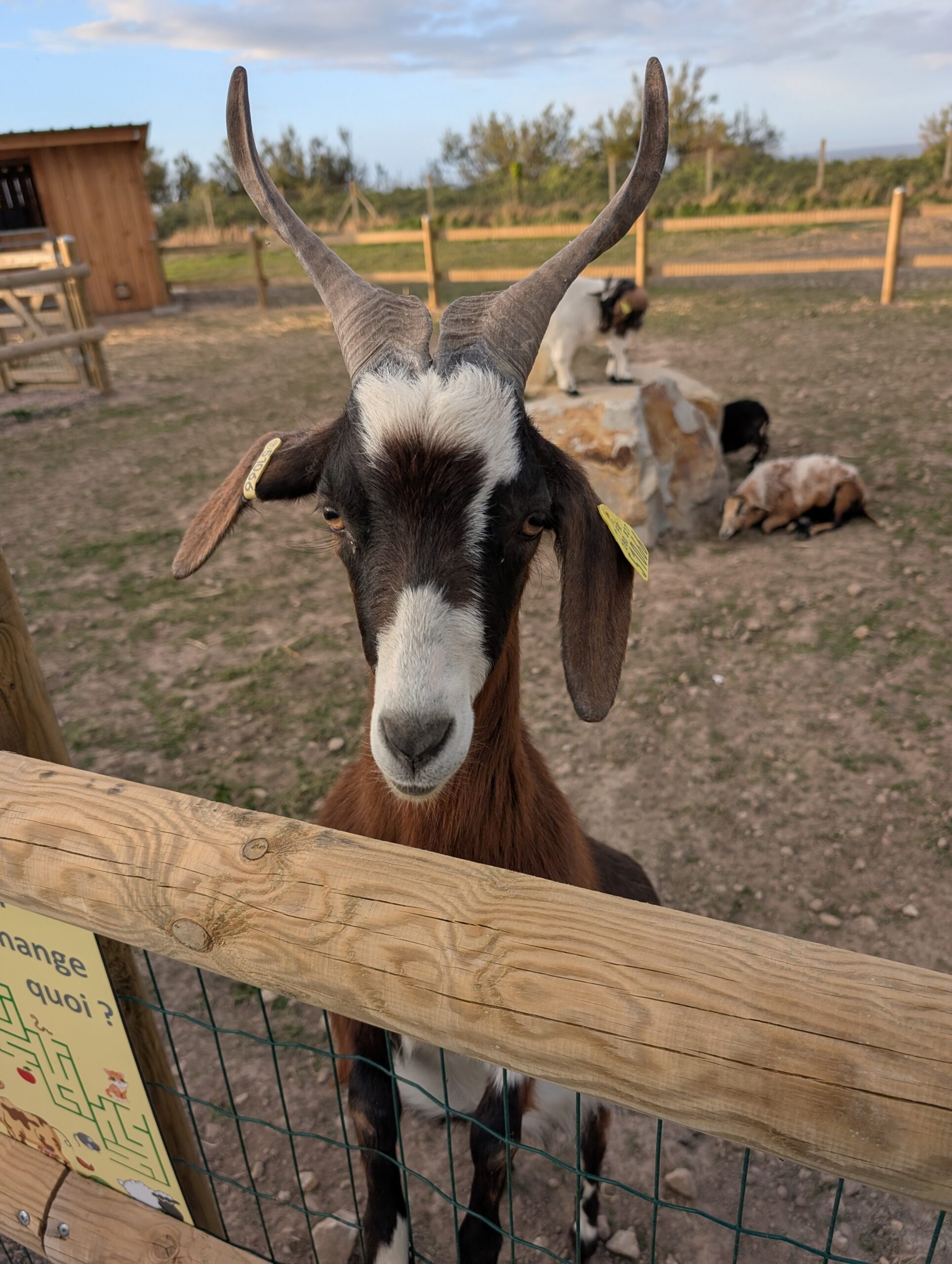 ferme camping omaha beach